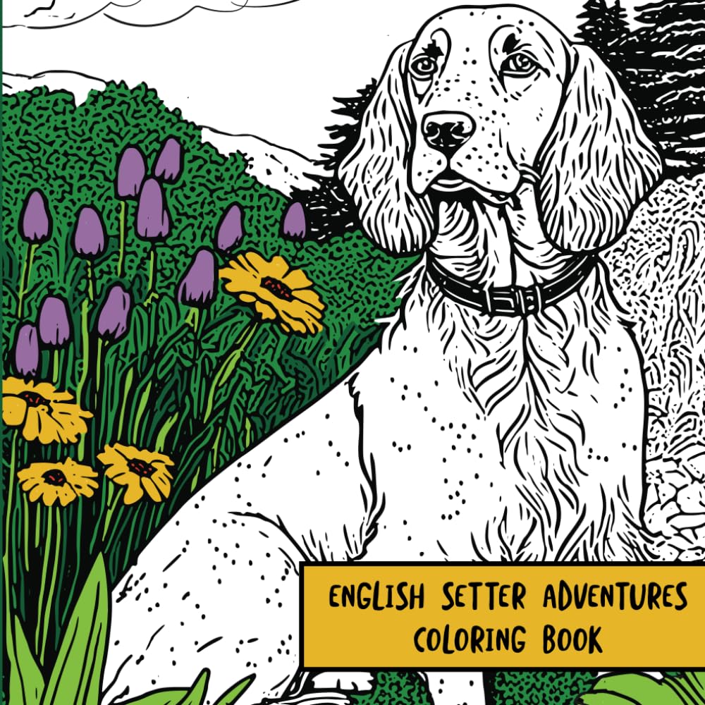English Setter Coloring Book
