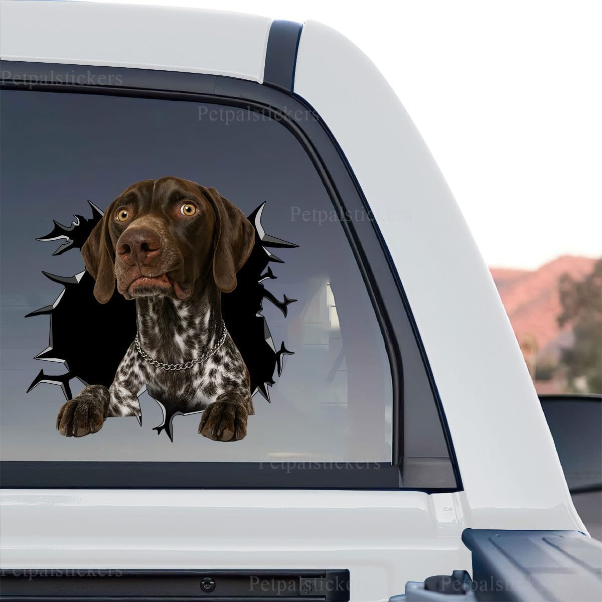 German Short Haired Pointer Dog Decal Sticker