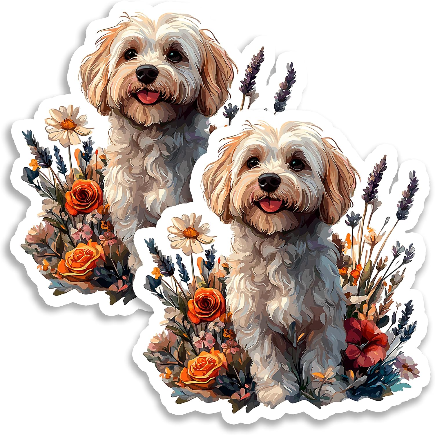 Havanese Fridge Magnets