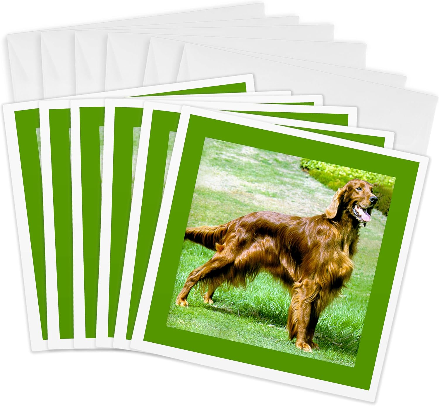 Irish Setter Dog Greeting Cards 6 Pack