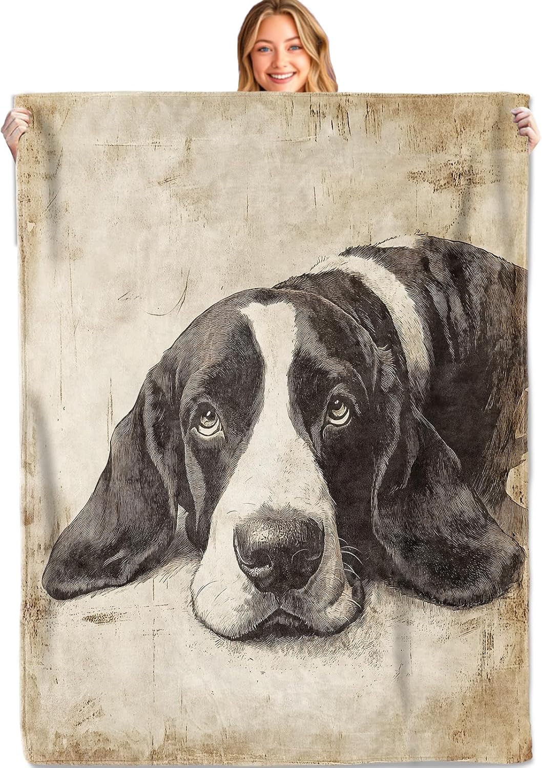 Basset Hound