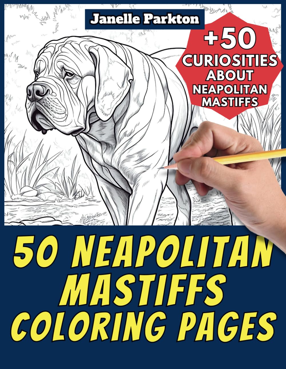 Neopolitan Mastiff Dog Coloring Book