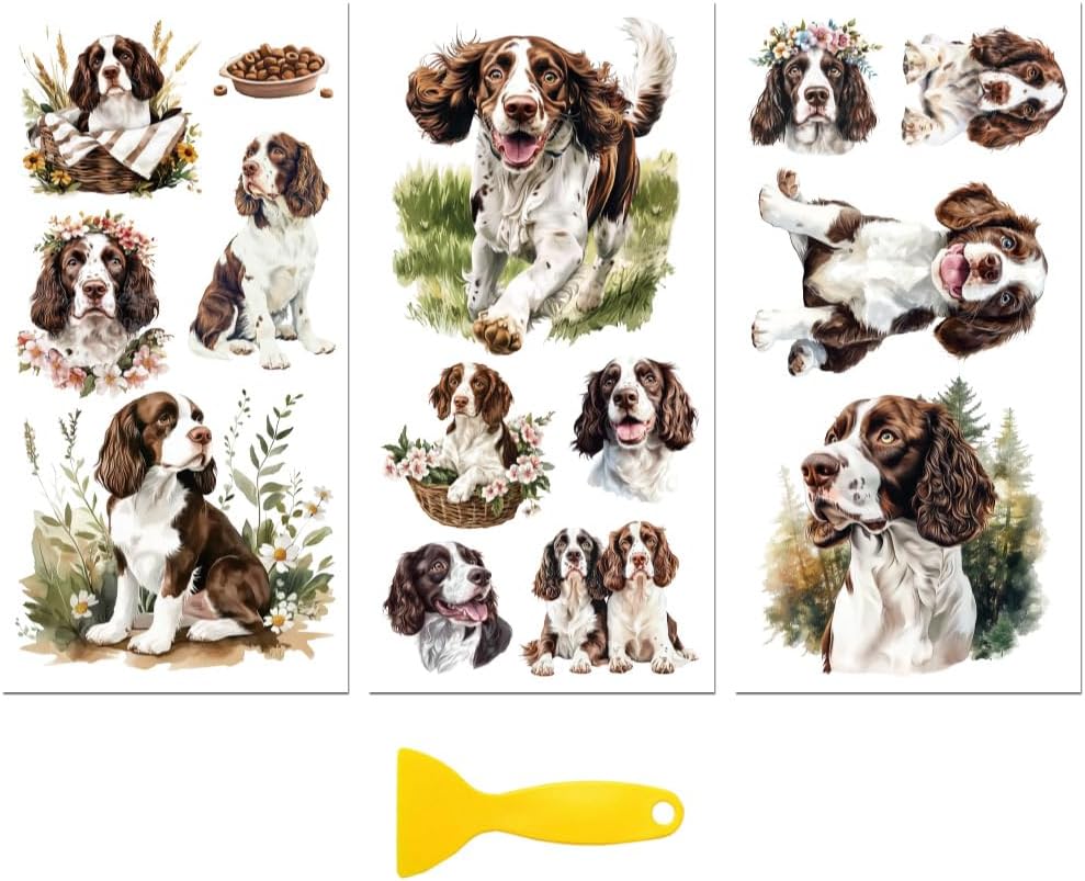 Springer Spaniel Rub On Transfers