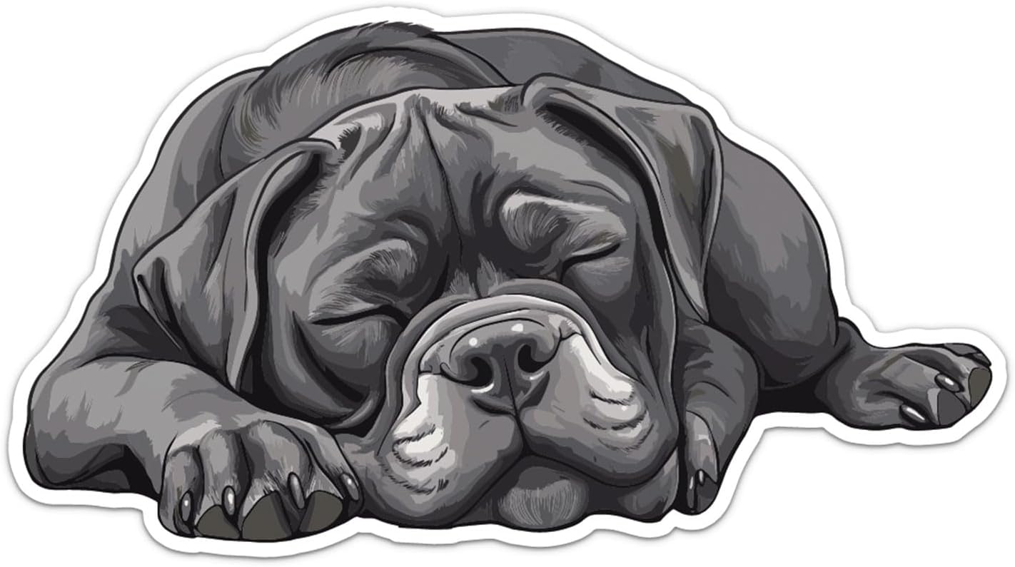 Sleeping Cane Corso Dog Sticker