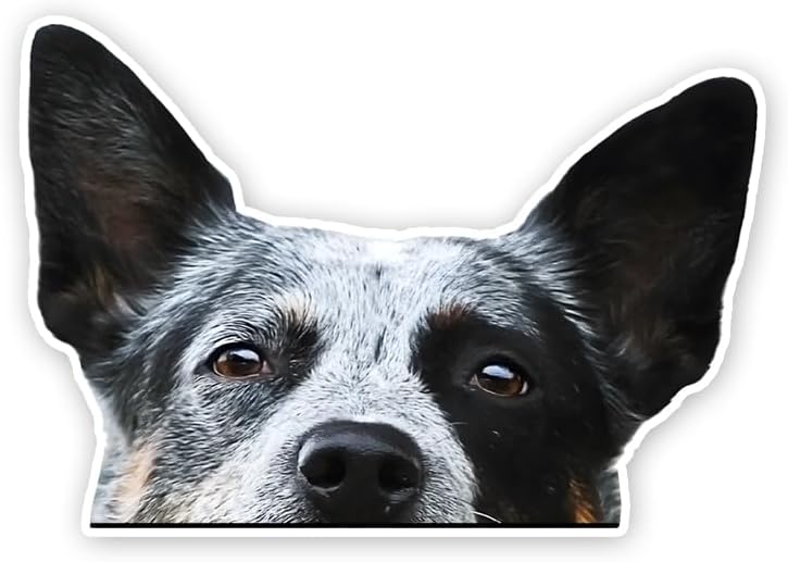 2pcs Peeking Australian Cattle Dog Vinyl Decal 5.91"x4.13"