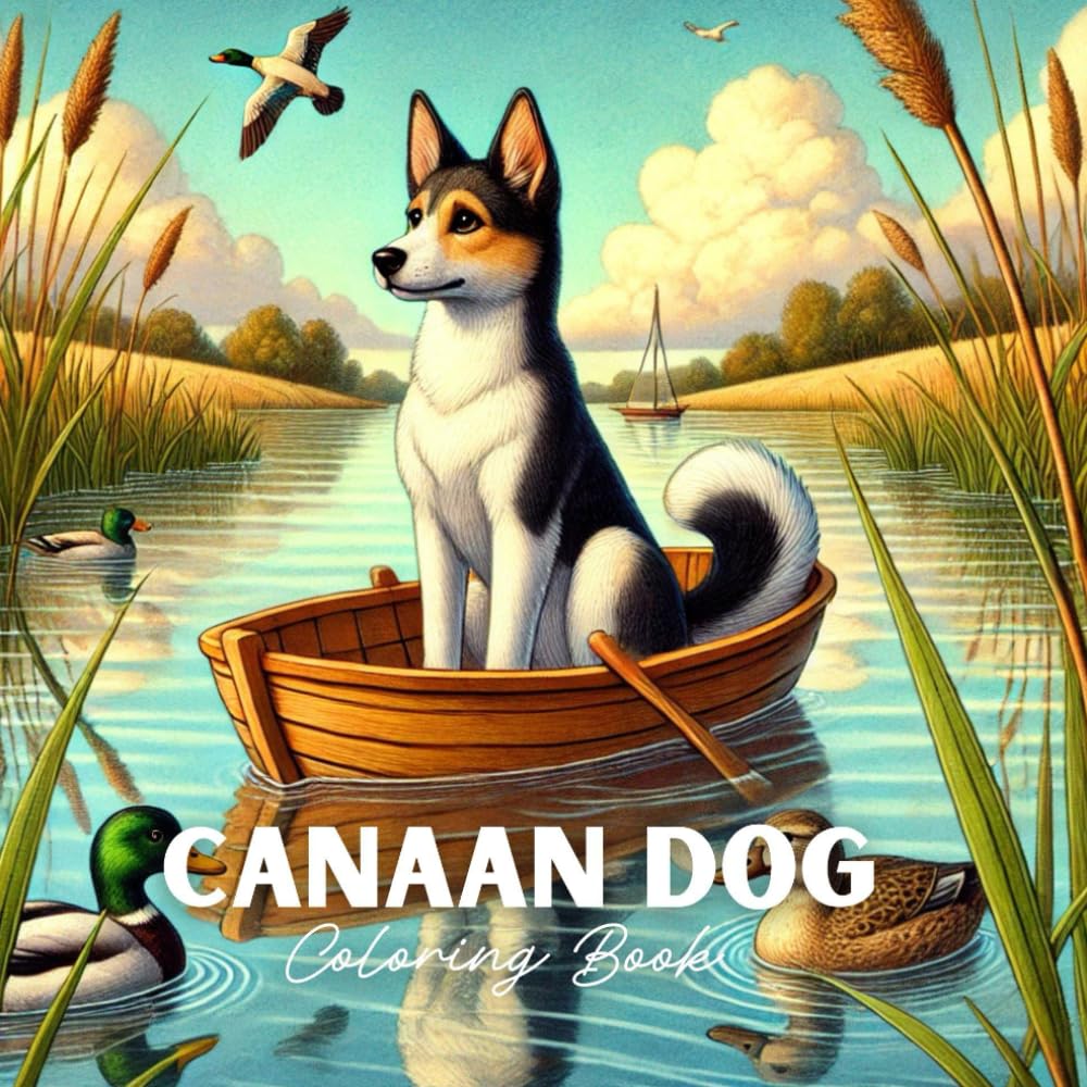Canaan Dog Coloring Book