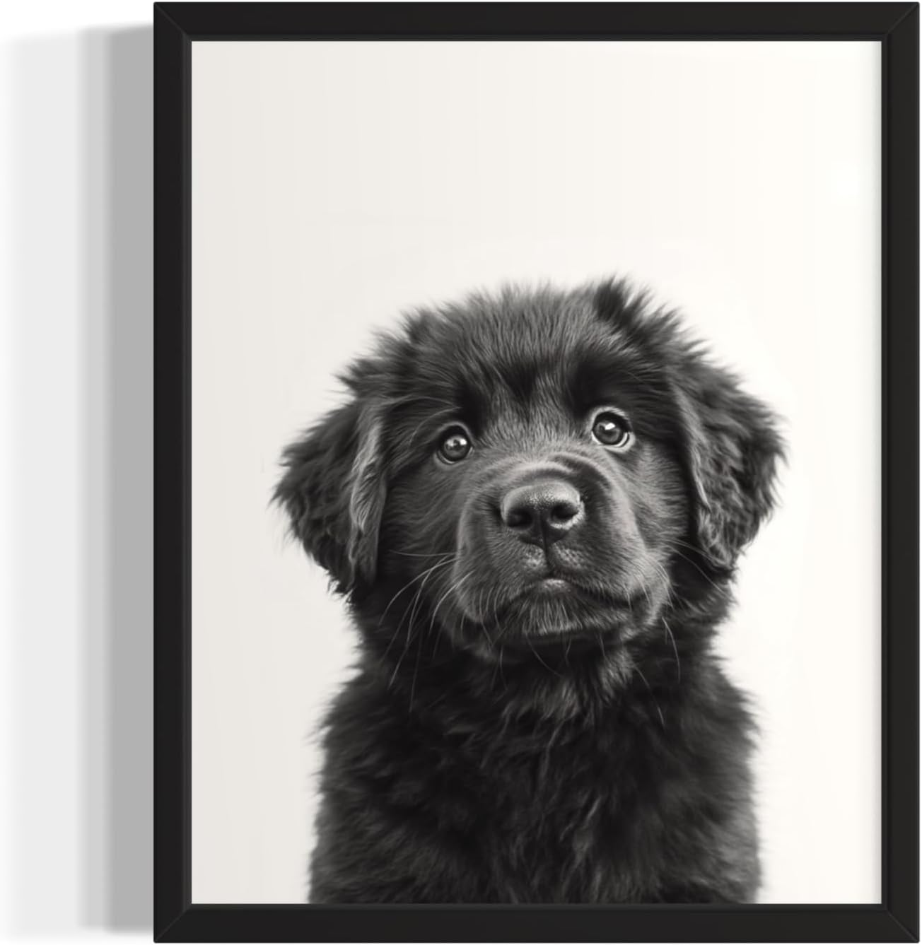 Newfoundland Puppy Dog Wall Art