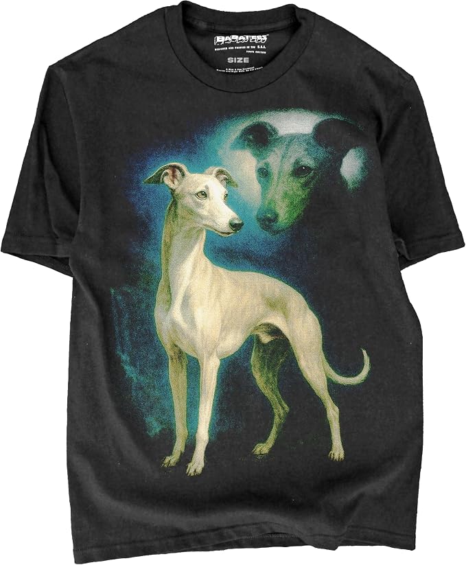 Greyhound