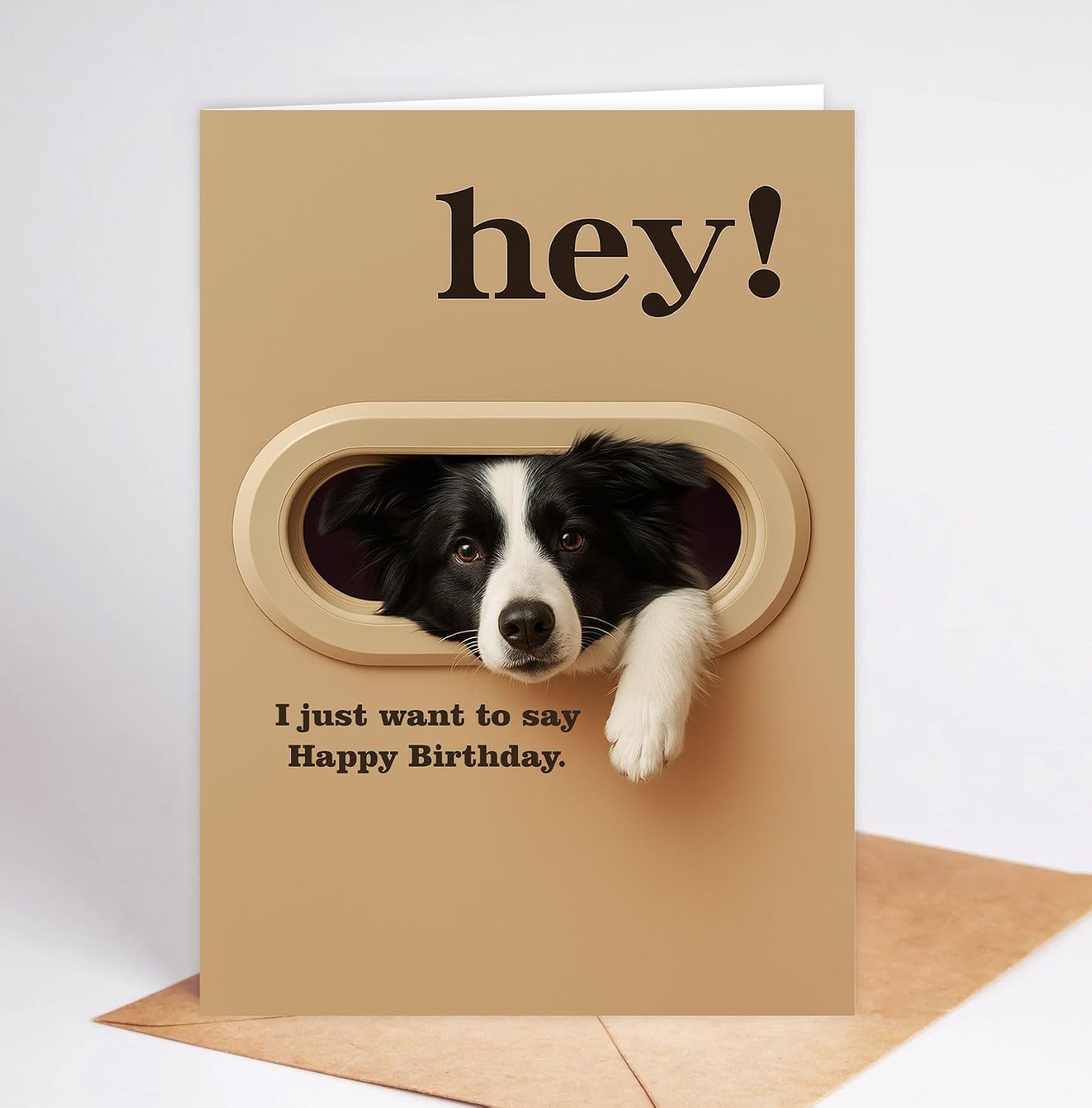 Funny Border Collie Birthday Card