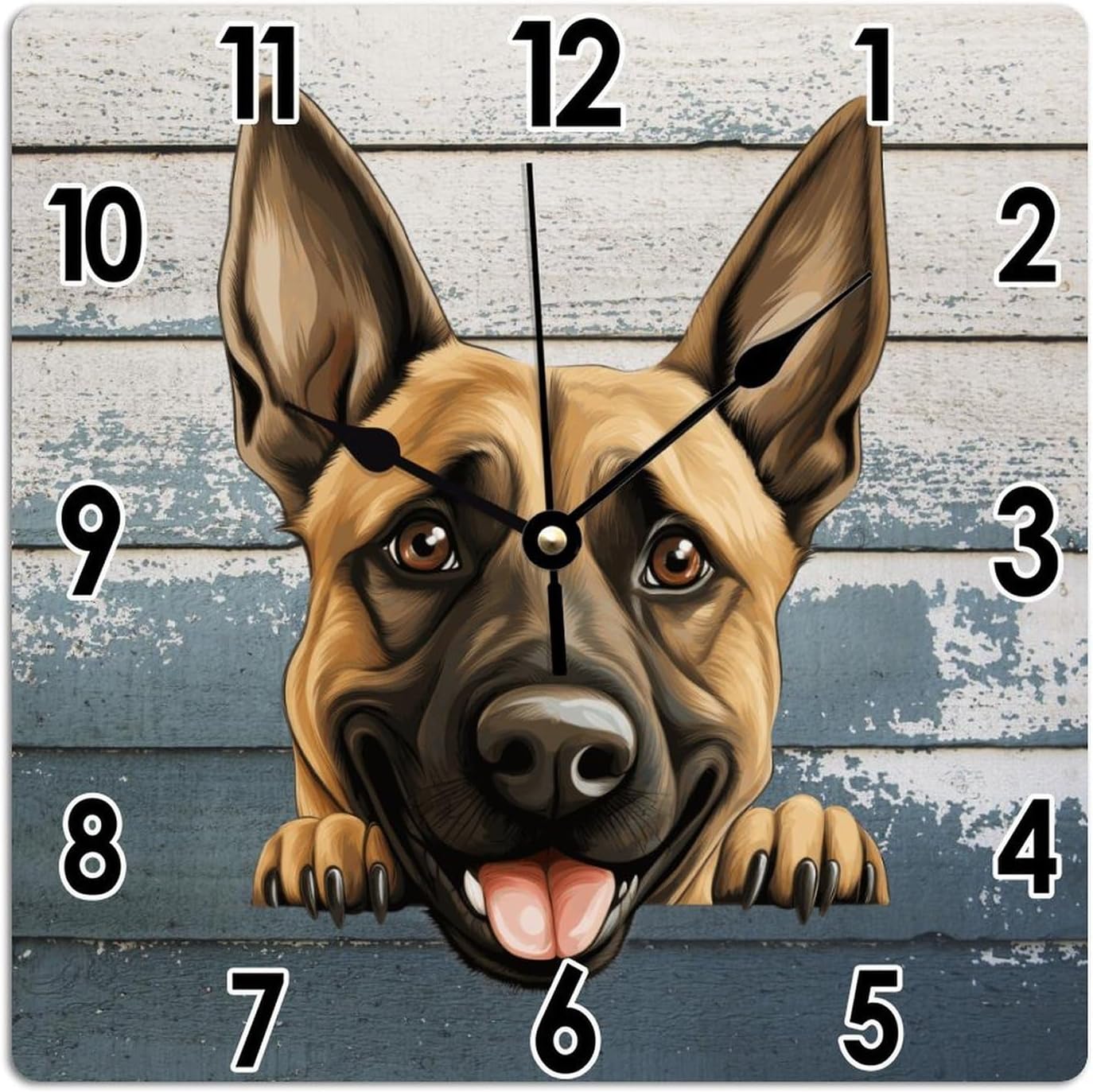 Belgian Malinois Dog Wall Clock