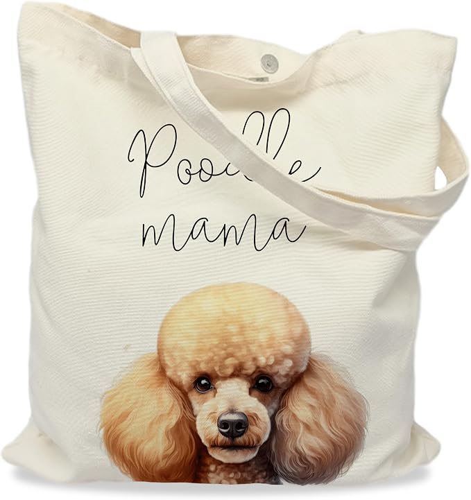 Standard Poodle