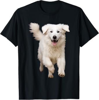 Kuvasz