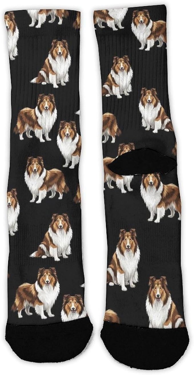 Rough Collie Dog Socks