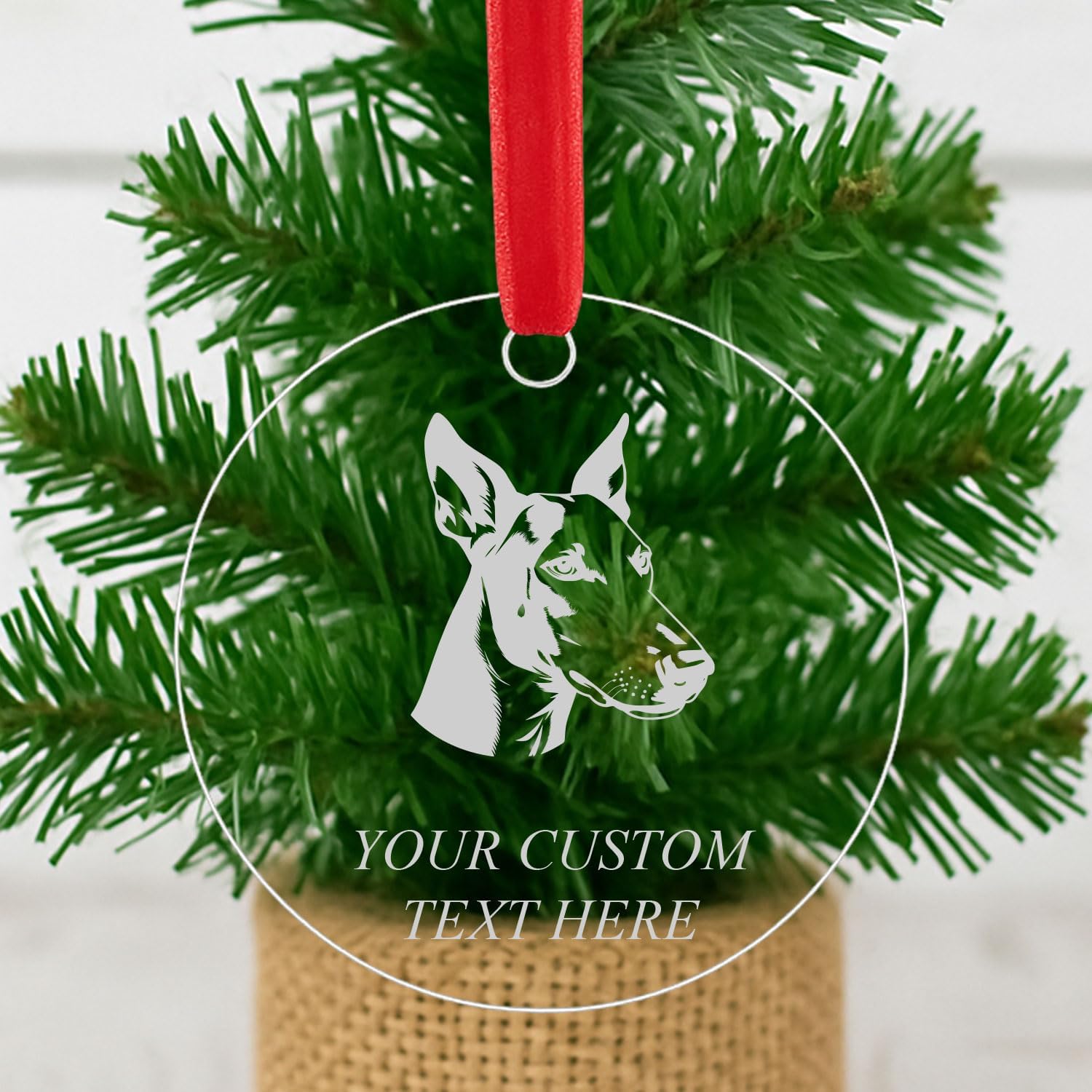 Clear Ibizan Hound Ornament