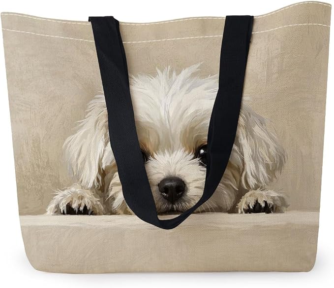 Bichon Frise