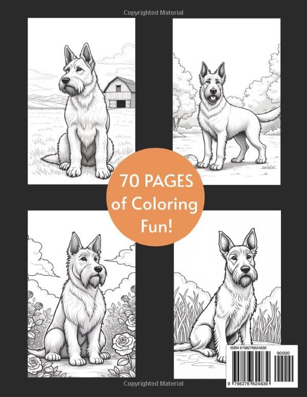 Berger Picard Coloring Book