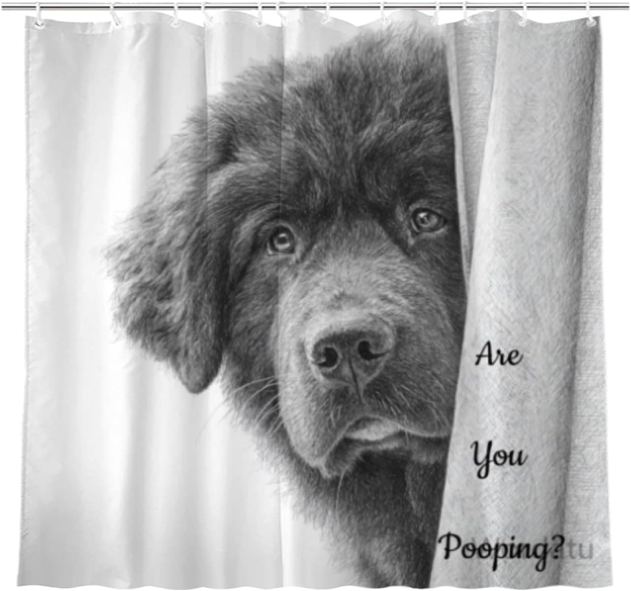 Tibetan Mastiff Dog Shower Curtain