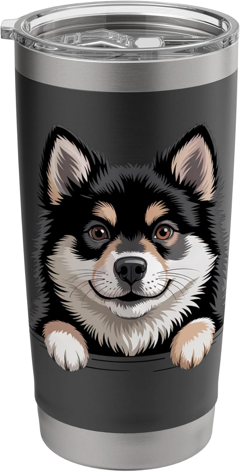Finnish Lapphund