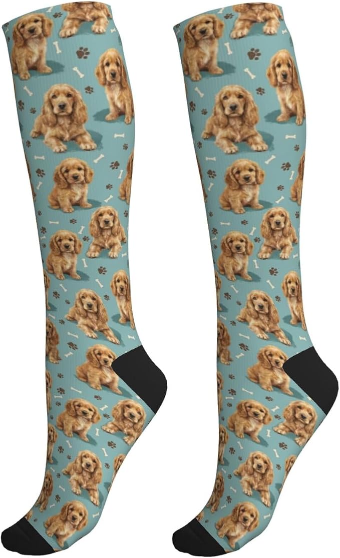 Cocker Spaniel