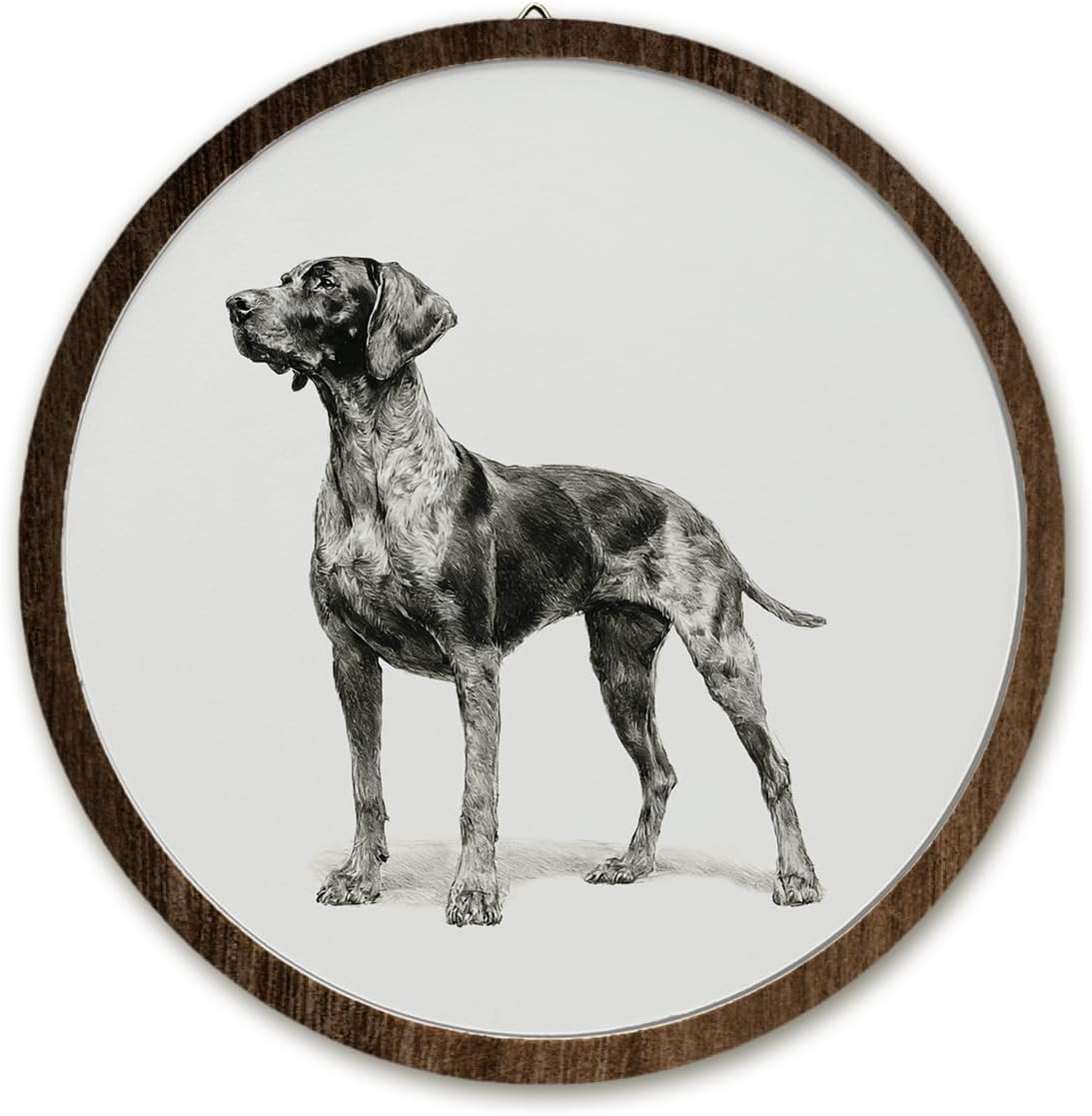 Pointer Dog Wall Art