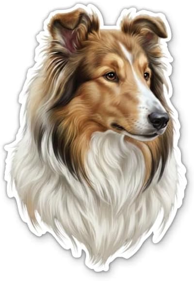 Rough Collie Dog Sticker