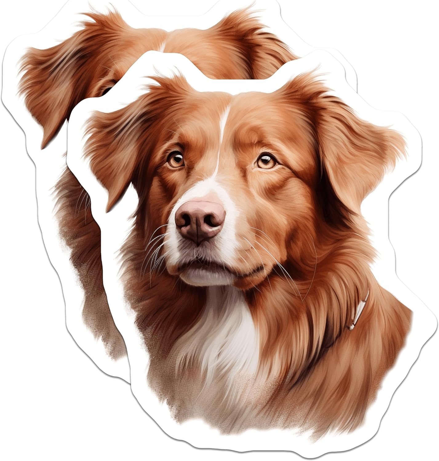 Tolling Retriever Stickers