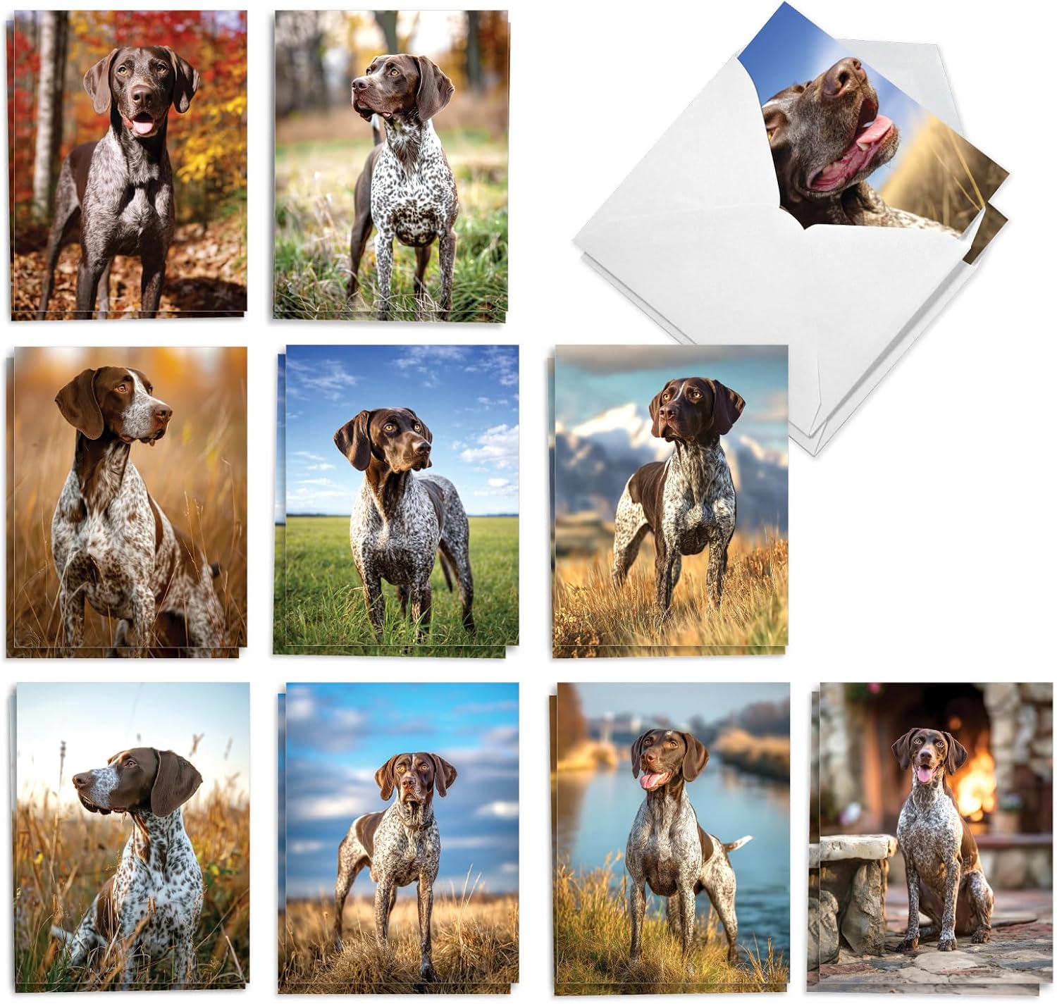 Pointer Dog Note Cards