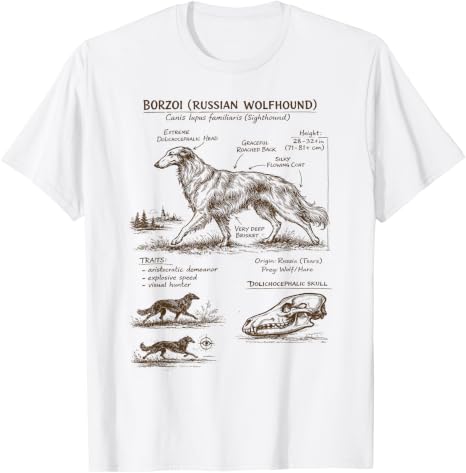 Borzoi