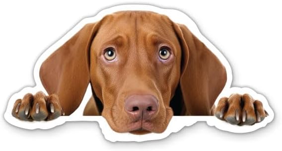 Vizsla Dog Sticker
