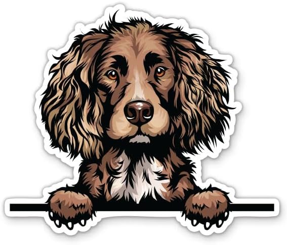 Boykin Spaniel Vinyl Decal