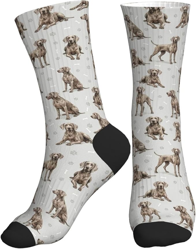 Weimaraner Dog Socks