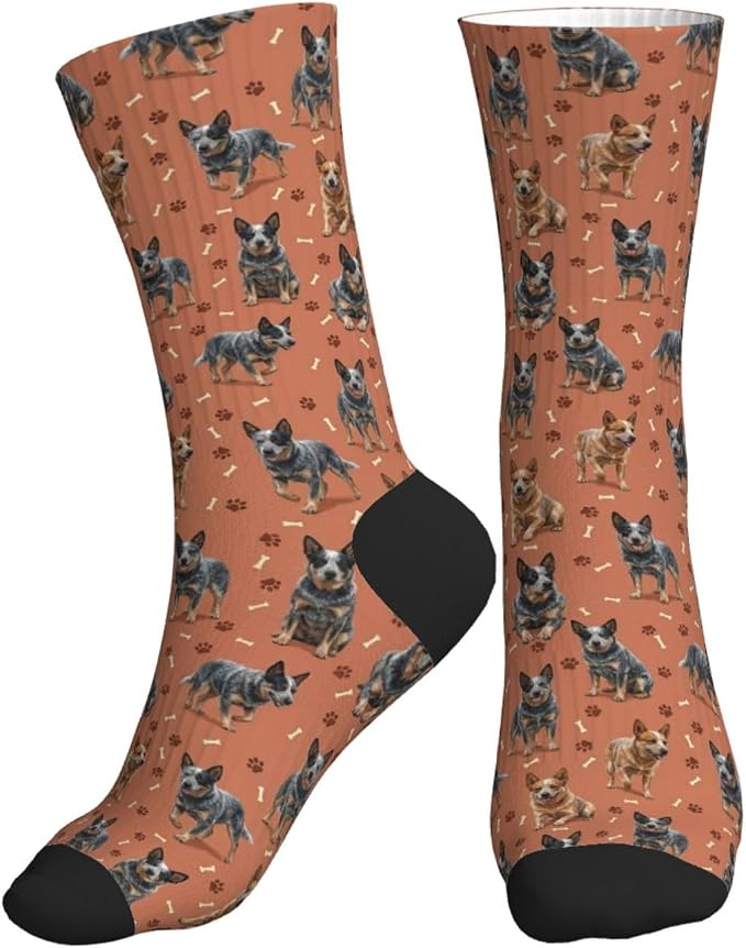 Australian Cattle Dog Socks
