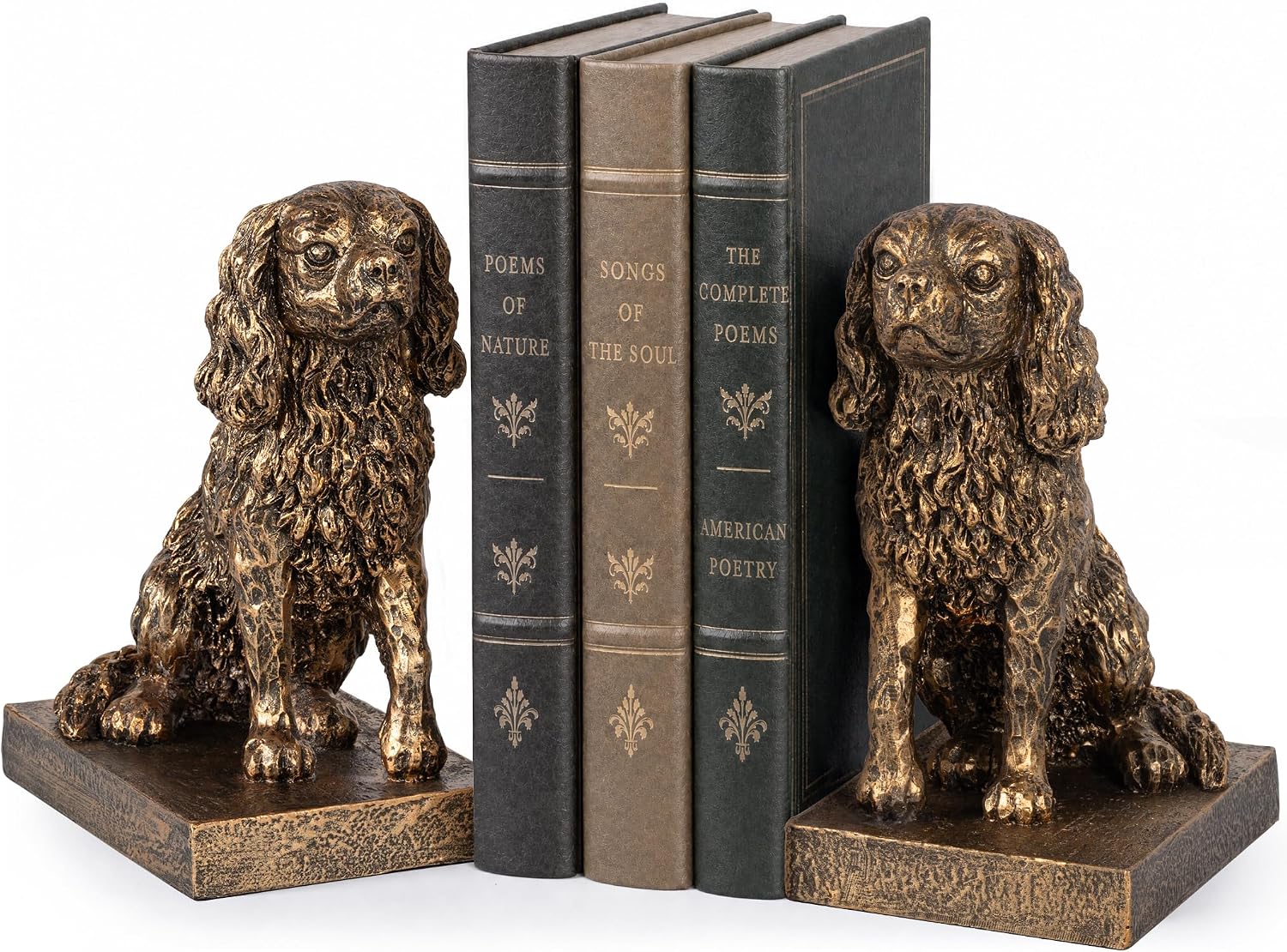Cavalier King Charles Spaniel Bookends