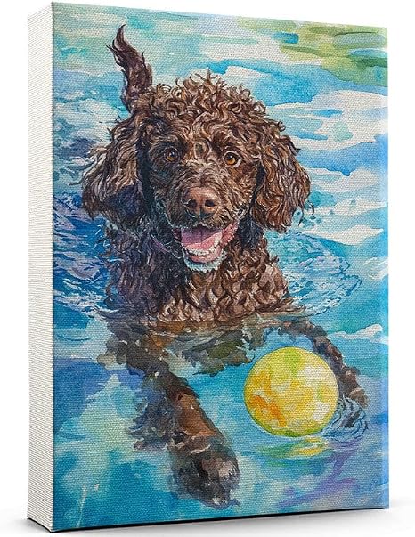 Irish Water Spaniel Canvas Art