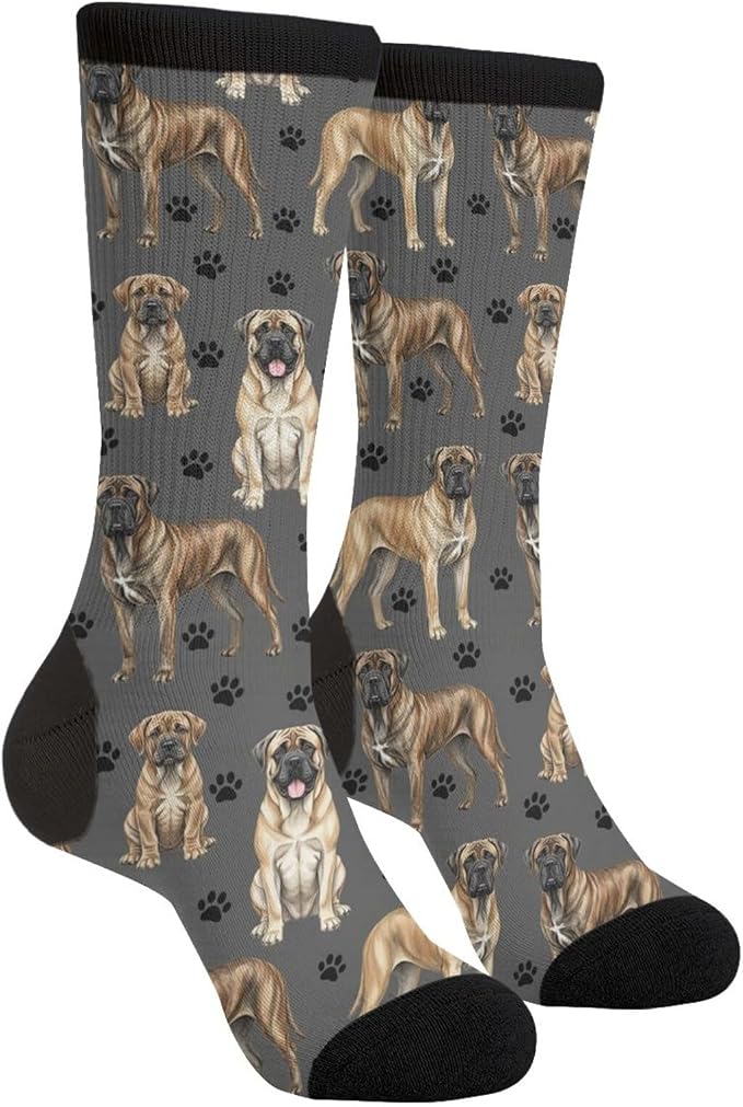 English Mastiff