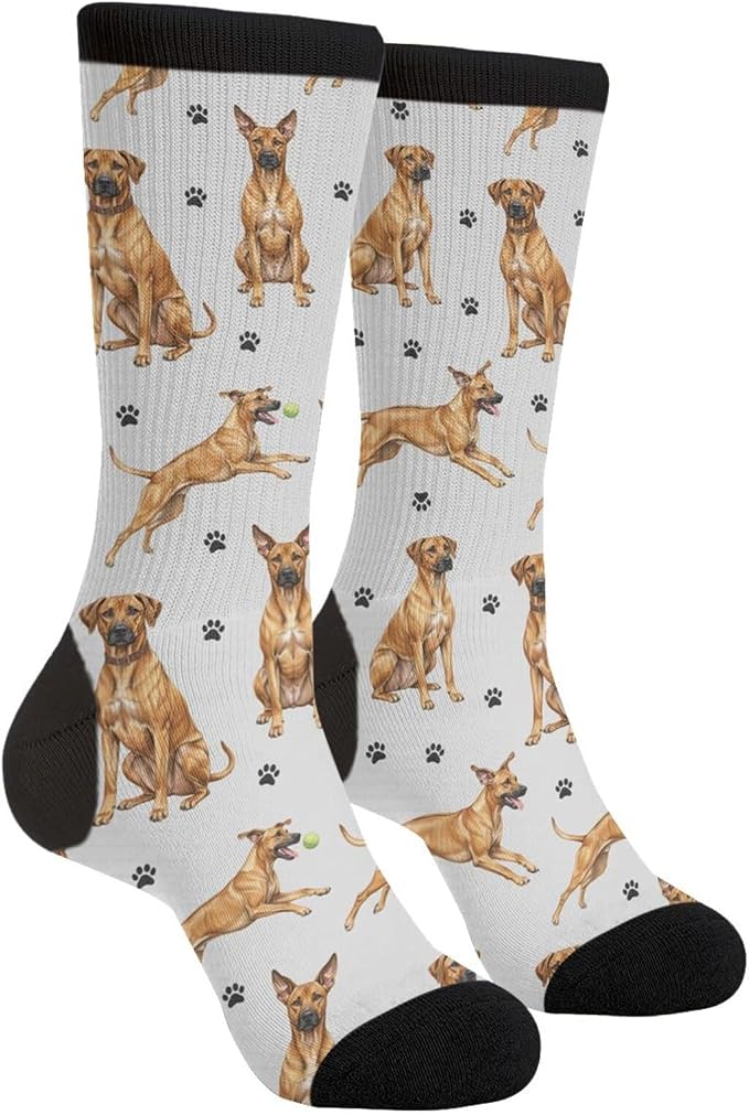Rhodesian Ridgeback