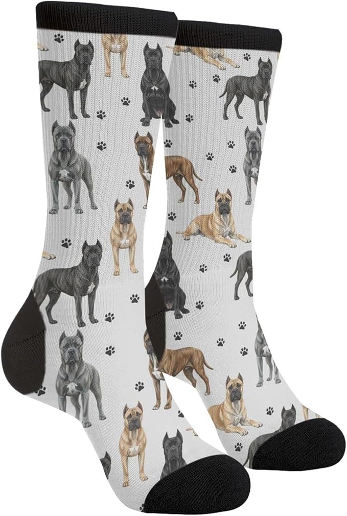 Cane Corso Dog Socks