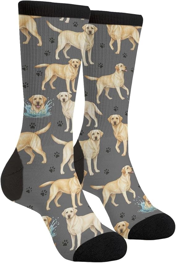Labrador Retriever Socks