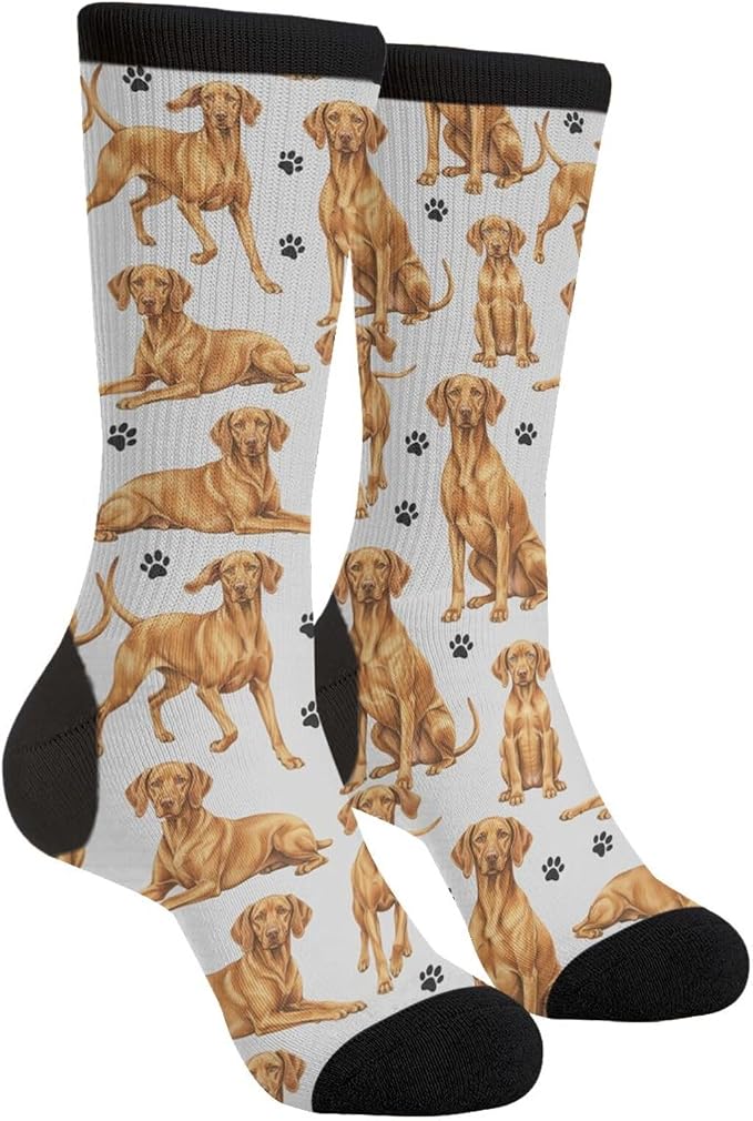 Vizsla
