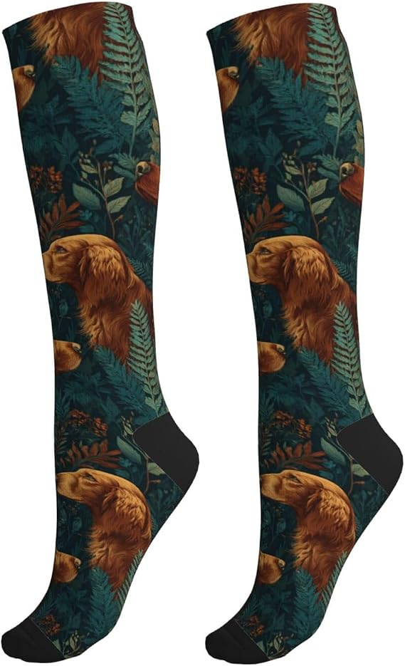 Irish Setter Dog Compression Socks