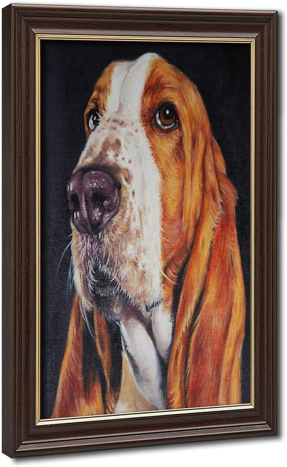 Basset Hound Dog Portrait