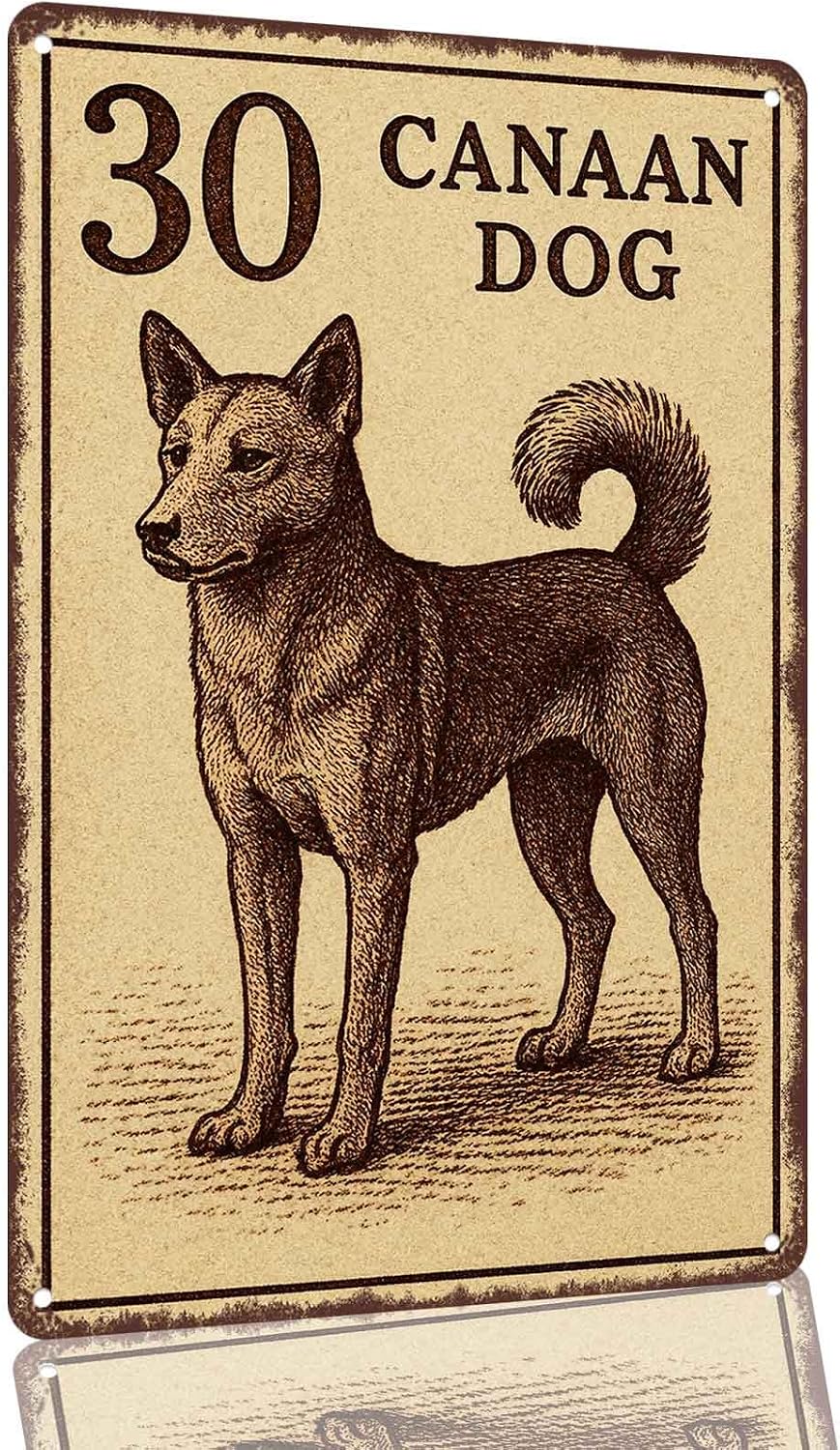 Canaan Dog Metal Sign