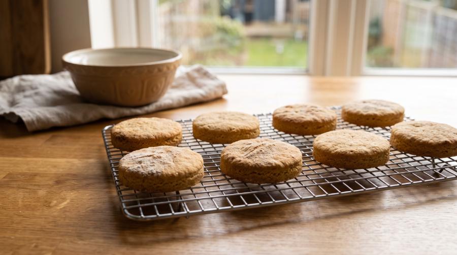 Doggie Biscuits