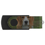 Adorable Beagle Flash Drive