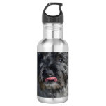 Adorable Cairn Terrier Stainless Steel Water Bottle