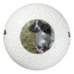 Adorable English Cocker Spaniel Golf Balls