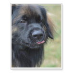 Adorable Leonberger Temporary Tattoos