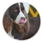 Adorable Springer Spanial Ceramic Knob