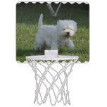 Adorable West Highland Terrier Mini Basketball Hoop