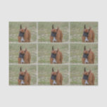 Amazing Boxer Dog Tissue Paper